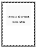 6 bước seo để trơ thành chuyên nghiệp