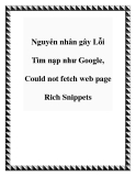 Nguyên nhân gây Lỗi Tìm nạp như Google, Could not fetch web page Rich Snippets