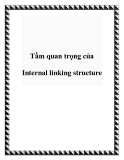 Tầm quan trọng của Internal linking structure