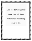 Làm sao để Google biết được rằng nội dung website của bạn không phải về ếch