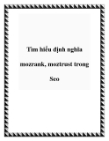 Tìm hiểu định nghĩa mozrank, moztrust trong Seo