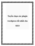 Tuyển chọn các plugin wordpress tốt nhất cho SEO