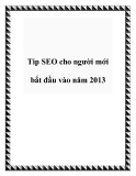 Tip SEO cho người mới bắt đầu vào năm 2013