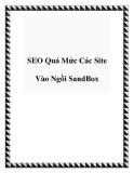 SEO Quá Mức Các Site Vào Ngồi SandBox