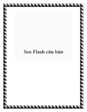 Seo Flash căn bản