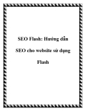 SEO Flash: Hướng dẫn SEO cho website sử dụng Flash