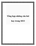 Tổng hợp những câu hỏi hay trong SEO