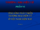 TÌNH HÌNH PHÁT TRIỂN THƯƠNG MẠI ĐIỆN TỬ  Ở VIỆT NAM HIỆN NAY