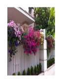 Thiết kế xây biệt thự 2 tầng trên đất diện tích 10x22m 