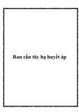 Rau cần tây hạ huyết áp