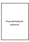 95 gen ảnh hưởng tới cholesterol