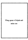 Tổng quan về bệnh mỡ máu cao