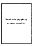 Nattokinase giúp phòng ngừa cục máu đông