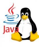 Hướng dẫn cài Oracle Java 7 cho Ubuntu 12.04