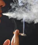 Những Điều Cấm Kỵ Sau Bữa Ăn