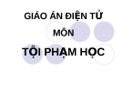 Tội phạm học
