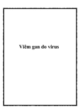 Viêm gan do virus