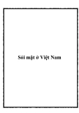 Sỏi mật ở Việt Nam