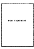 Bệnh ở hệ tiêu hoá