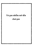 Từ gan nhiễm mỡ đến chai gan