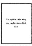 Xét nghiệm chức năng gan và chẩn đoán hình ảnh