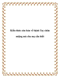 Kiến thức căn bản về bệnh Tay chân miệng mà cha mẹ cần biết