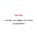 Tiểu luận: VẤN ĐỀ CAN THIỆP CỦA NATO TẠI KOSOVO