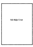 Sỏi thận Urat