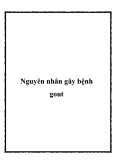 Nguyên nhân gây bệnh gout