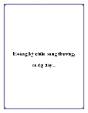 Hoàng kỳ chữa sang thương, sa dạ dày....