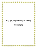 Cây gai, có gai nhưng ăn không thủng bụng