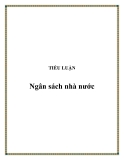 Tiểu luận đề tài : Ngân sách nhà nước