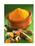 Nghệ vàng - Cây gia vị, cây thuốc quý 