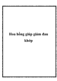 Hoa hồng giúp giảm đau khớp