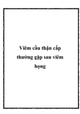 Viêm cầu thận cấp thường gặp sau viêm họng