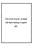 Yếu tố di truyền và bệnh đái tháo đường ở người gầy