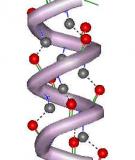 Cấu trúc của gene 