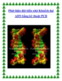 Phát hiện đột biến nhờ Khuếch đại ADN bằng kỹ thuật PCR