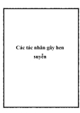 Các tác nhân gây hen suyễn