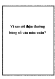 Vì sao sỏi thận thường bùng nổ vào mùa xuân?