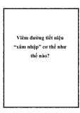 Viêm đường tiết niệu “xâm nhập” cơ thể như thế nào?