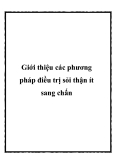 Giới thiệu các phương pháp điều trị sỏi thận ít sang chấn