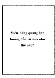 Viêm bàng quang ảnh hưởng đến vô sinh như thế nào?