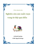 Đồ án chuyên môn - Nghiên cứu sản xuất rượu vang từ thịt quả điều