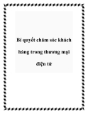 Bí quyết chăm sóc khách hàng trong thương mại điện tử