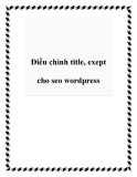 Điều chỉnh title, exept cho seo wordpress