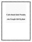Cách thoát khỏi Penalty của Google khi bị phạt