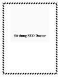 Sử dụng SEO Doctor