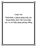 Tình hình vi phạm pháp luật của thanh thiếu niên Việt Nam hiện nay và các biện pháp phòng chống