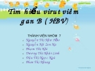 Tìm hiểu virut viêm gan B ( HBV)